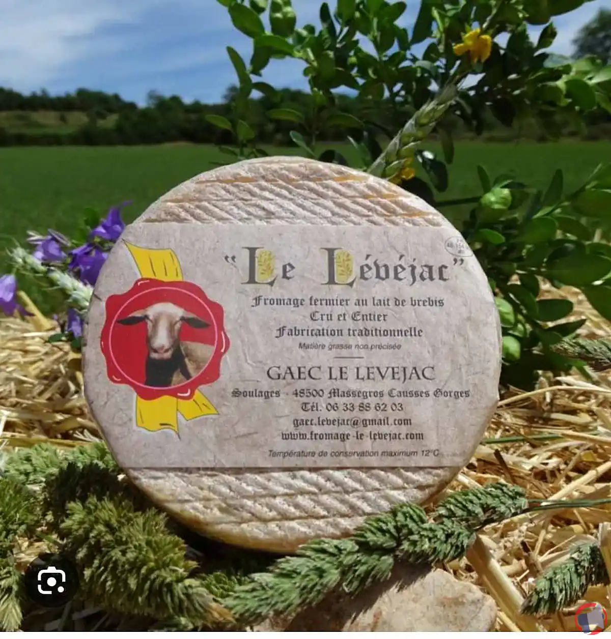 Rappel de produit : tomette de brebis au lait cru Le Lévejac contaminée à la listeria