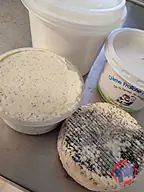 Rappel produit Produits laitiers de vache au lait cru GAEC du Maupas La vache Brennouse (photo numéro 1)