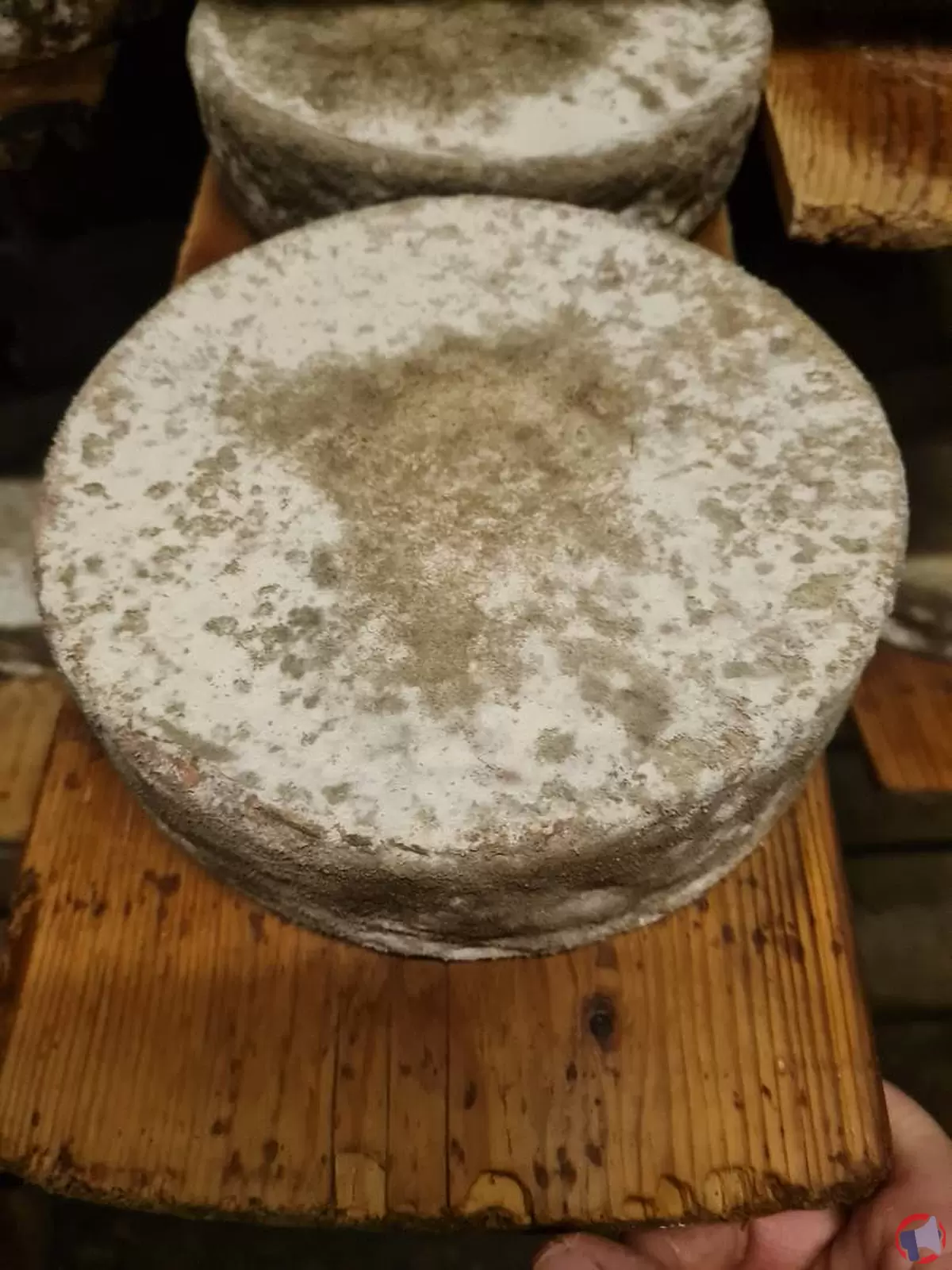 Rappel de la Tomme fermière de la marque GAEC LE Semnoz pour cause de listeria