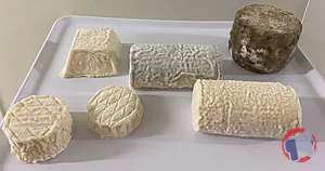 Rappel produit Fromages de brebis fermiers au lait cru GAEC du Val Gelon