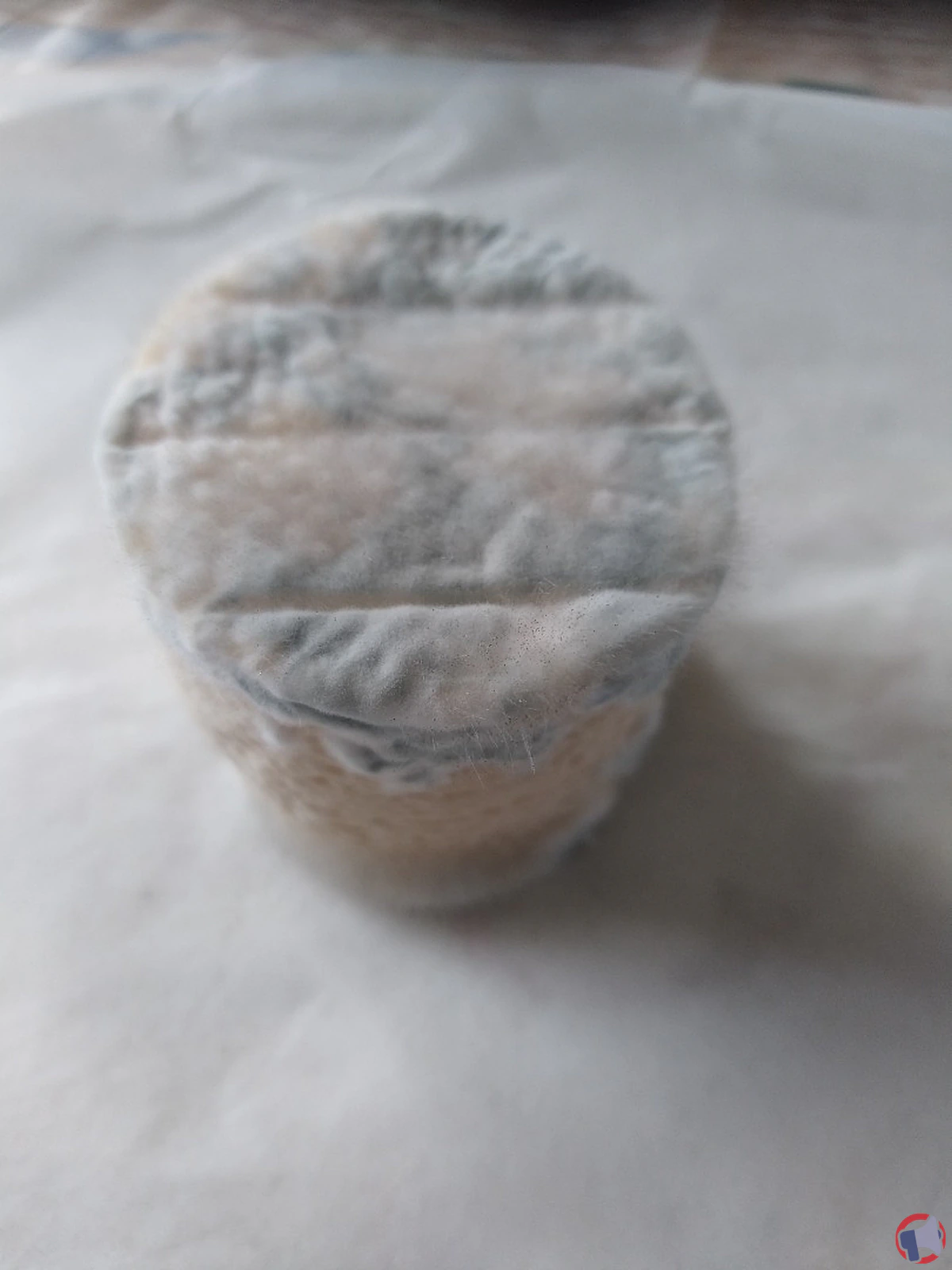 Rappel de produit : Fromage de chèvre Le Gargilesse pour risque de listeria