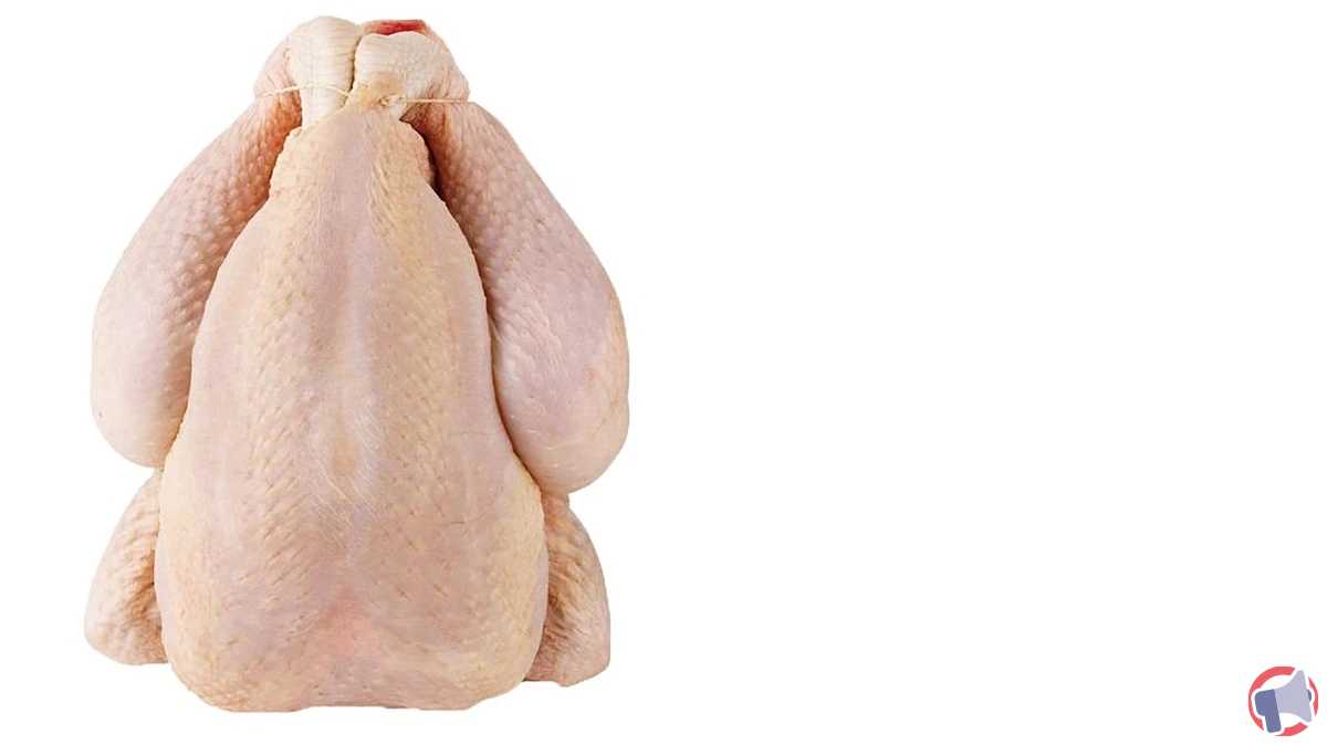 Rappel de produit : Dinde prête à cuire nue de la marque Le Gaulois Professionnel