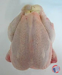 Rappel produit POULET 1,200 KG PAC NU LGP LE GAULOIS PROFESSIONNEL