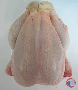 Rappel produit POULET NU LE GAULOIS PROFESSIONNEL