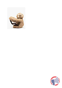Rappel produit SAC A DOS PELUCHE PARESSEUX GEMO