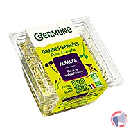 Rappel produit Graines germées biologiques Alfalfa Germline (photo numéro 1)