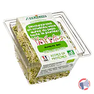 Rappel produit GERMLINE Graines germées biologiques Alfalfa