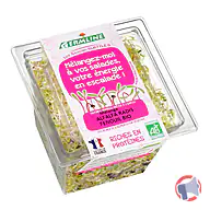 Rappel produit Graines germées biologiques Alfalfa-radis-fenouil GERMLINE (photo numéro 2)