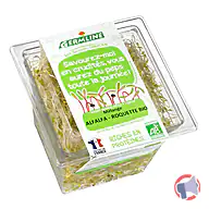 Rappel produit Graines germées biologiques Alfalfa-roquette GERMLINE (photo numéro 2)