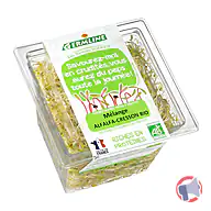 Rappel produit Graines germées biologiques alfalfa-cresson GERMLINE (photo numéro 2)