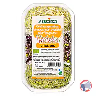 Rappel produit GERMLINE Graines germées biologiques VITAL'MIX 50g