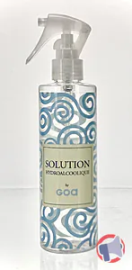 Rappel produit SOLUTION HYDROALCOOLIQUE GOA GOA