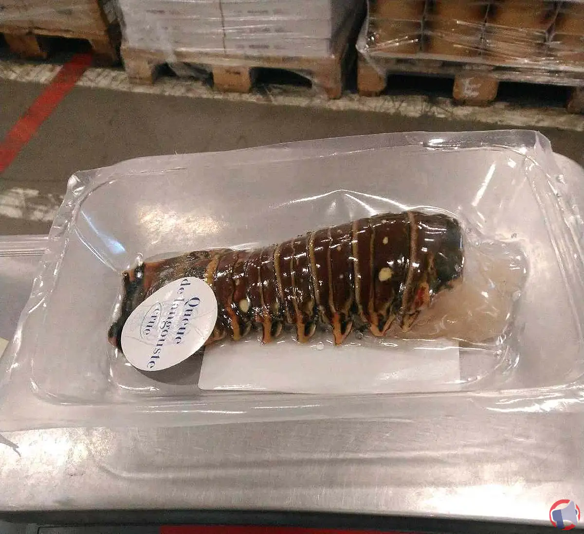 Rappel de queue de langouste crue grand frais : ce que vous devez faire