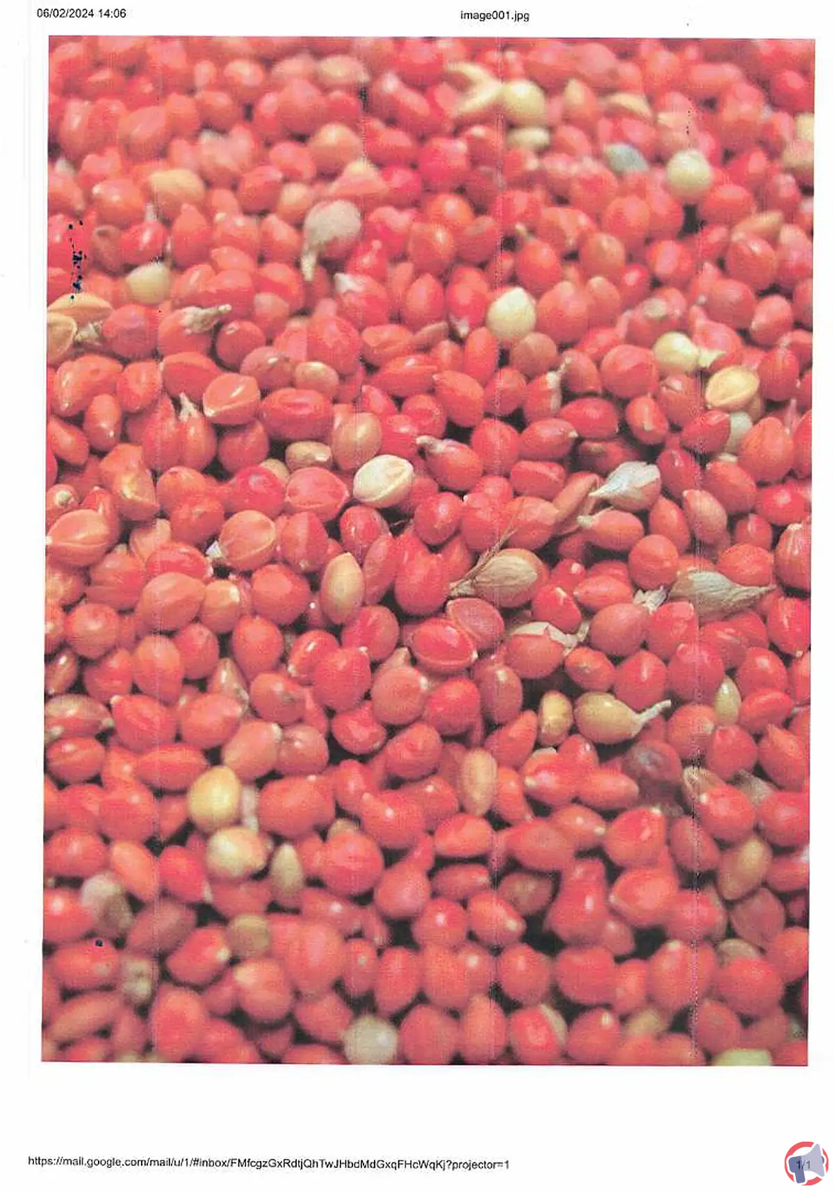 Rappel produit : Panis Rouge de la marque Grizo pour taux d'Ambroise trop élevé
