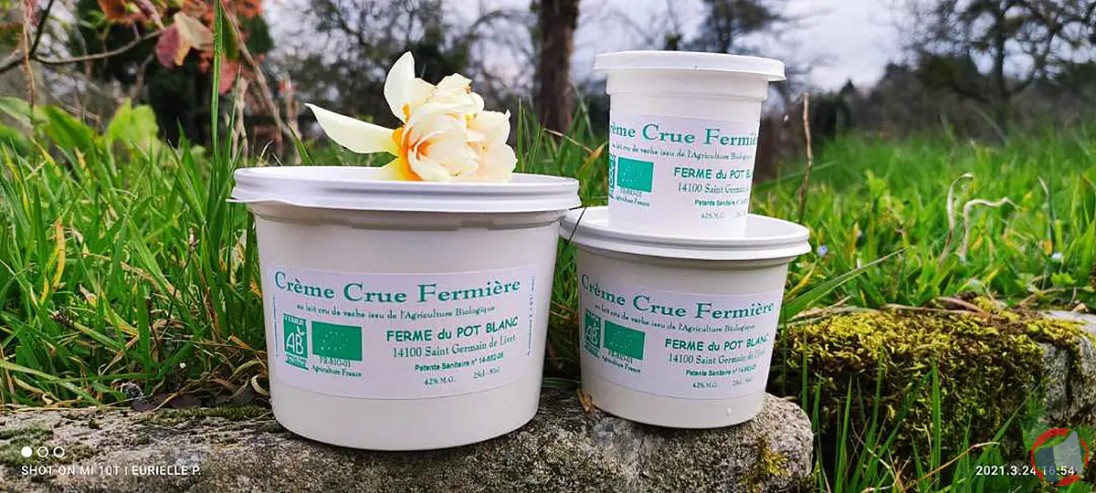 Rappel de produit : crème Guyard Maxime pour risque de listeria