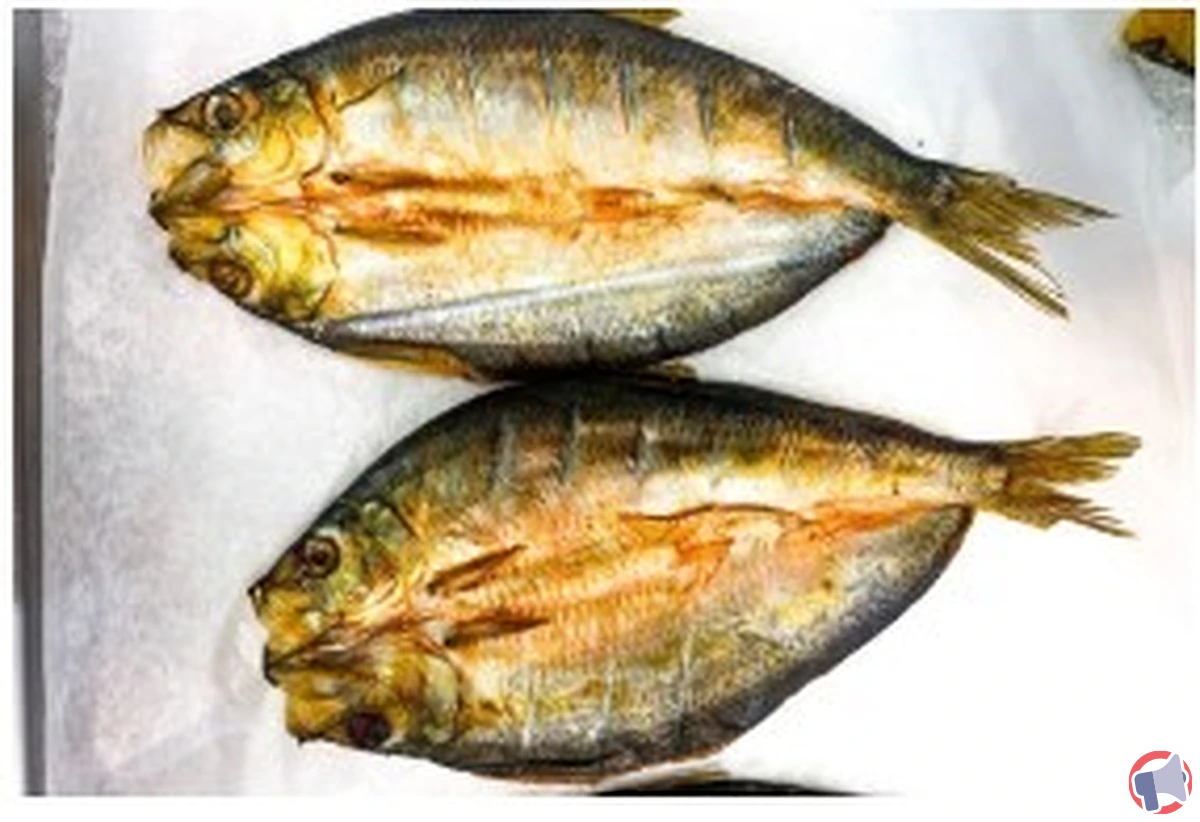 Rappel hareng kipper : quels risques et que faire si vous en avez acheté ?