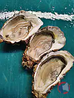 Rappel produit Huîtres creuses, plates et moules (photo numéro 1)