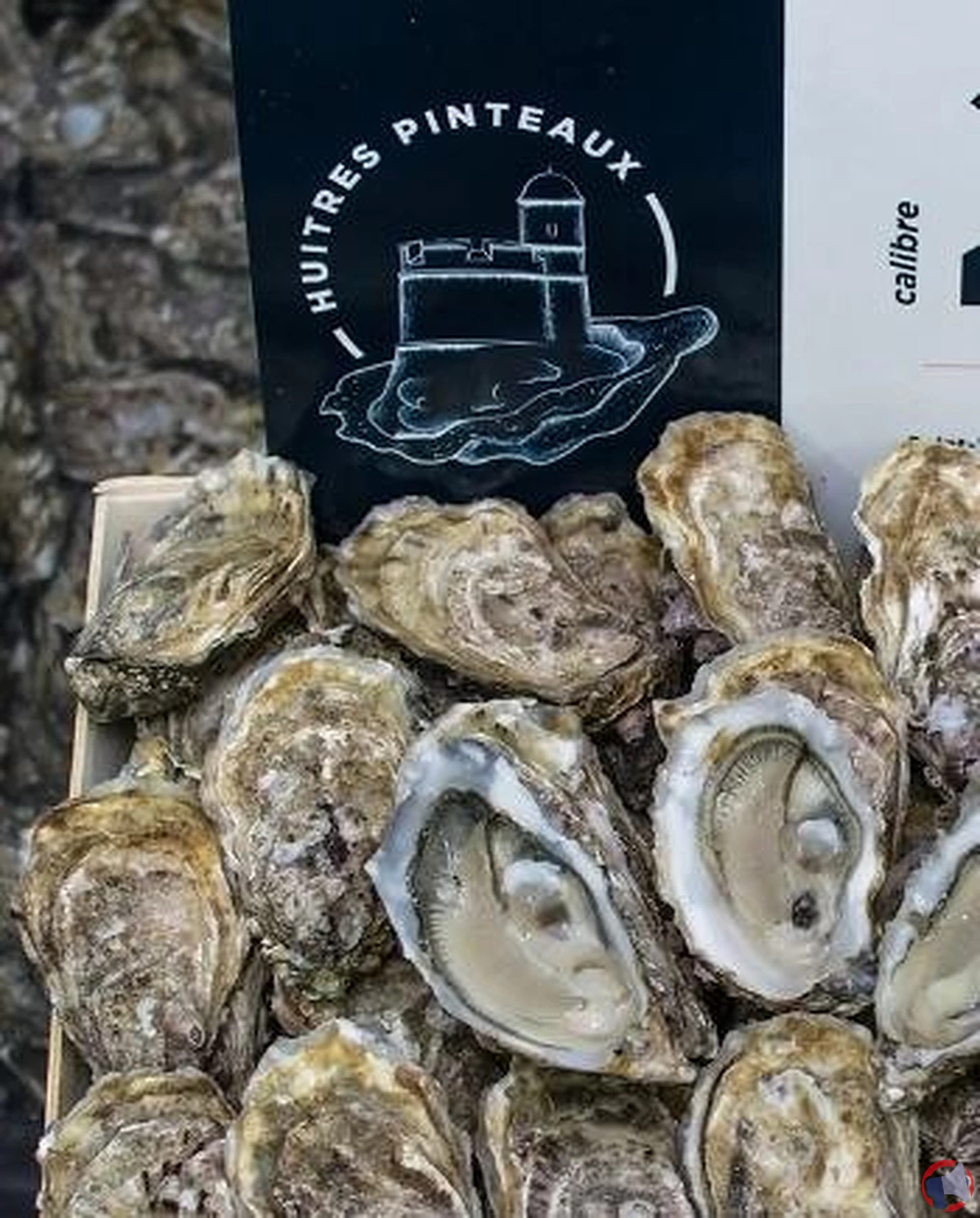 Rappel de produits : huitres de Saint Vaast potentiellement contaminées par le Norovirus