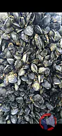 Rappel produit HUITRES ET MOULES ile de diana (photo numéro 2)