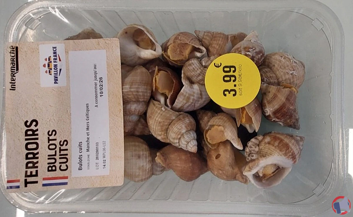 Rappel produit : Intermarché – bulots cuits 400g