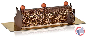 Rappel produit BÛCHE SCINTILLANTE JAMPI