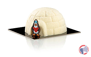 Rappel produit P'TIT IGLOO JAMPI