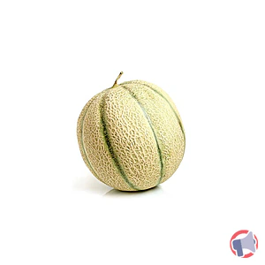 Rappel produit MELON BOULE DE MIEL X12 CAT I ESPAGNE JUANJOR
