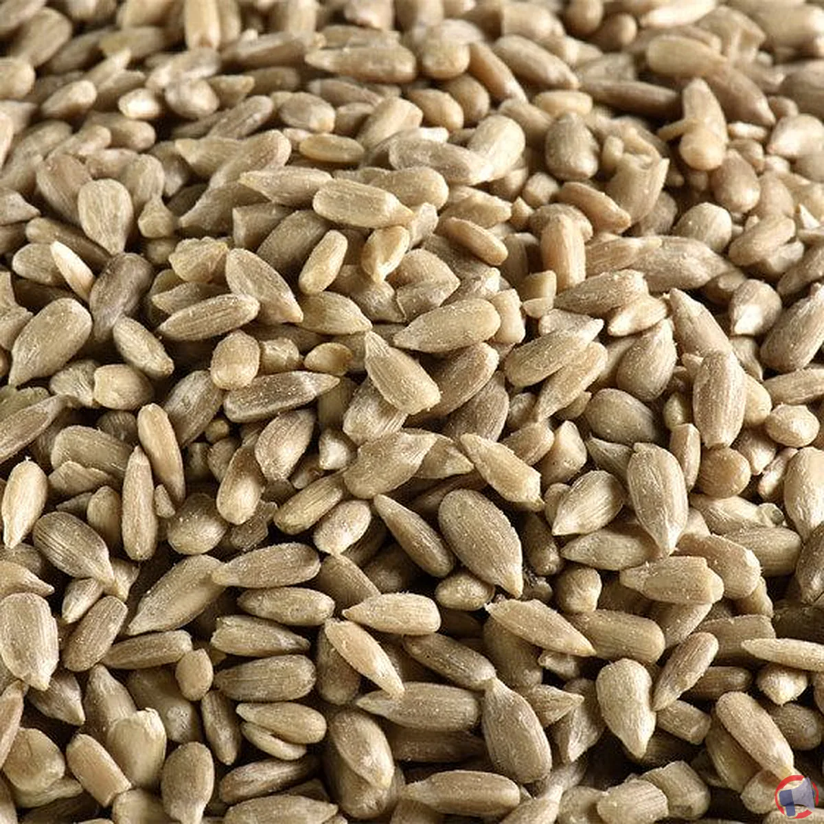 Rappel produit : Juste bio air d'ici graine tournesol bio vrac 5kg – analyse et recommandations
