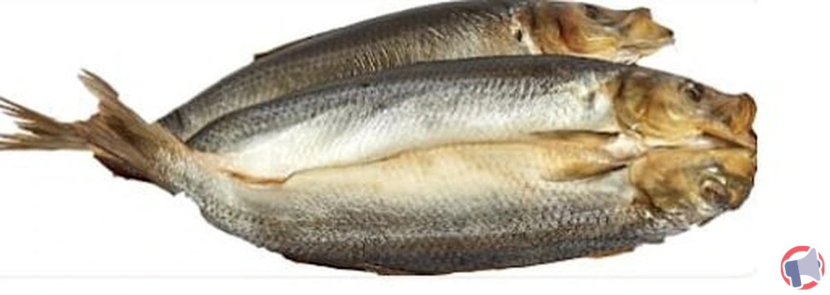 Rappel du produit kippers 19834 : analyse et recommandations
