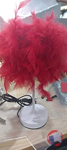 Rappel produit LAMPE EN PLUME LAMPE EN PLUME