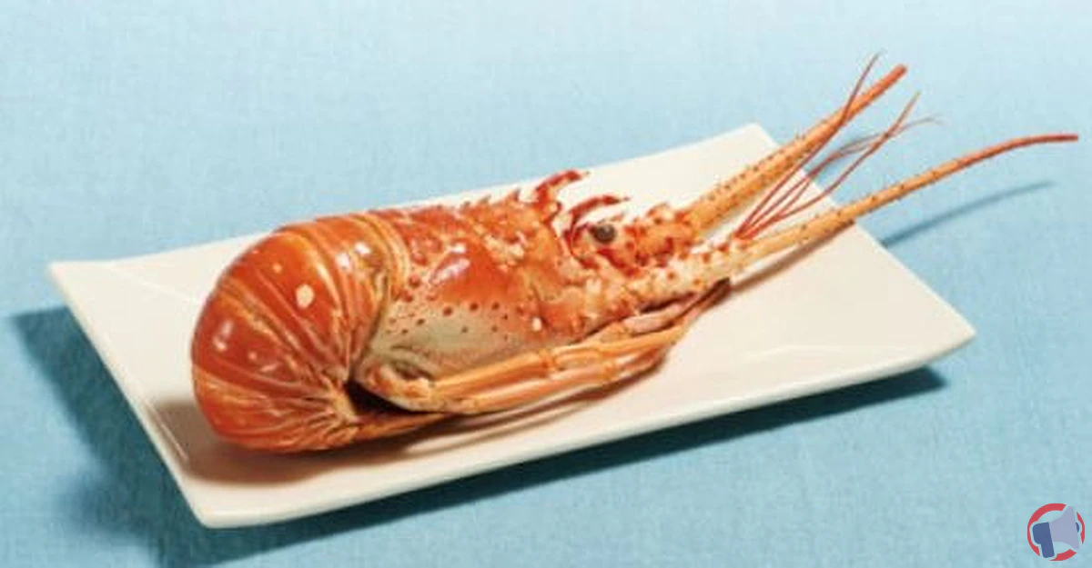 Rappel de produit : Langouste blanche cuite vendue chez Magasins U