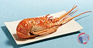 Rappel produit Langouste blanche cuite 400/800 g - Pêchée Atlantique Centre-Ouest (photo numéro 1)
