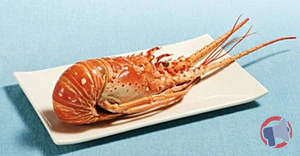 Rappel produit Langouste blanche cuite 400/800 g - Pêchée Atlantique Centre-Ouest
