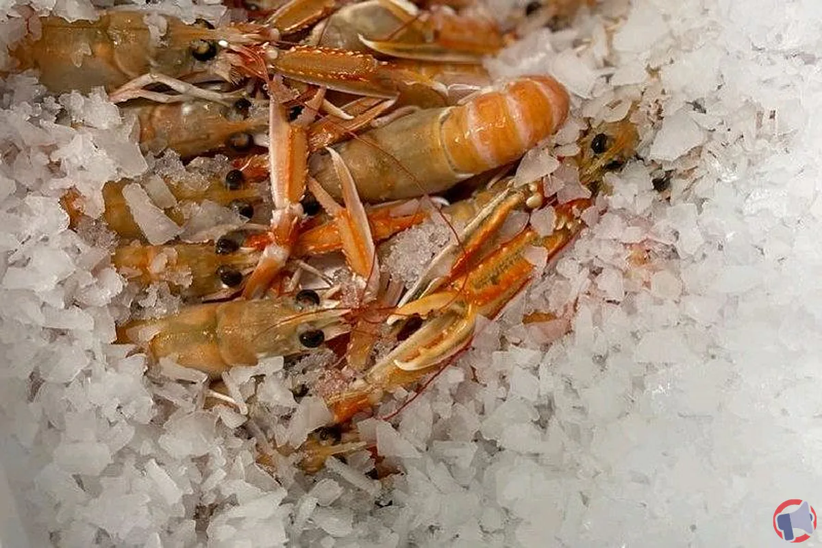 Rappel de langoustines glacées : quels sont les risques et quoi faire