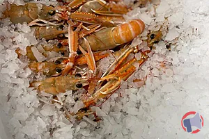 Rappel produit Langoustines glacées 20/40