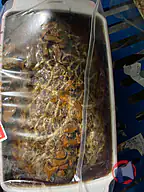 Rappel produit Terrine de campagne forestière Leclerc Aire sur la Lys (photo numéro 1)
