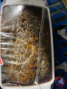 Rappel produit Terrine de campagne forestière Leclerc Aire sur la Lys