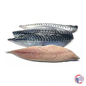 Rappel produit filet de maquereau LECRI MAREE