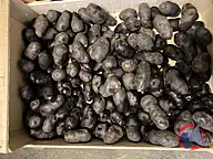 Rappel produit Pomme de terre Vitelotte La Légumière (photo numéro 1)