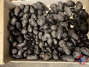 Rappel produit Pomme de terre Vitelotte La Légumière