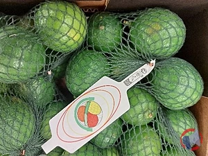 Rappel produit LIME - CITRON VERT