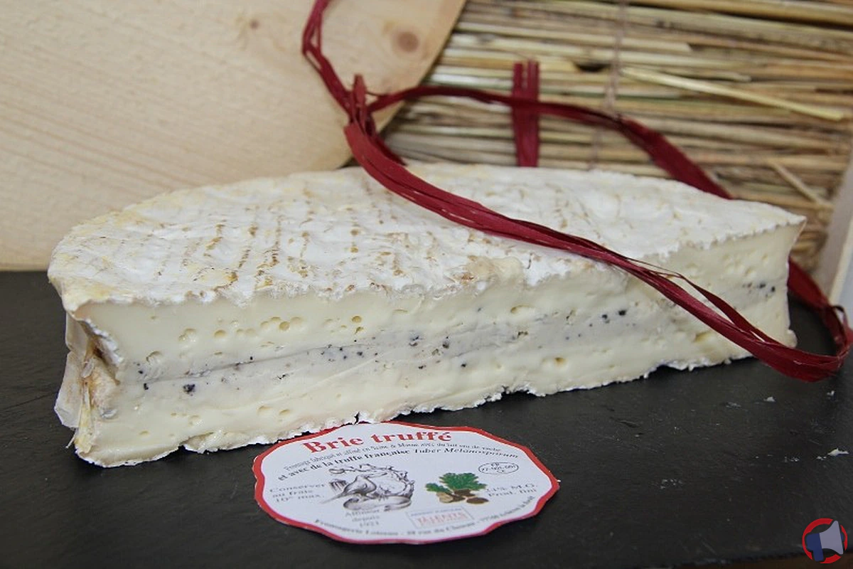 Rappel produit : loiseau à la truffe briard, ce qu’il faut faire