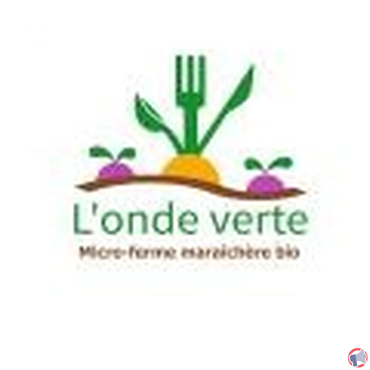 Rappel de produit : soupe courgette curry de La londe verte