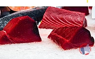 Rappel produit longe de thon Albacore