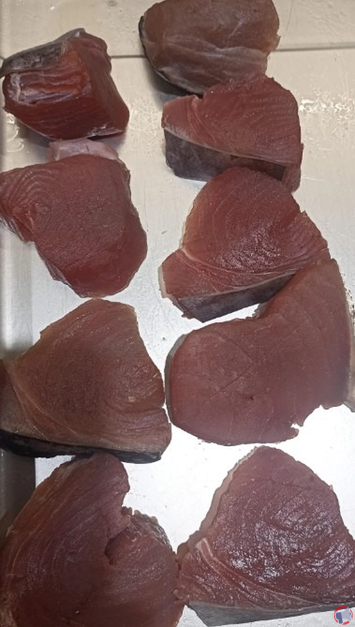 Longe thon albacore : rappel produit et précautions à prendre