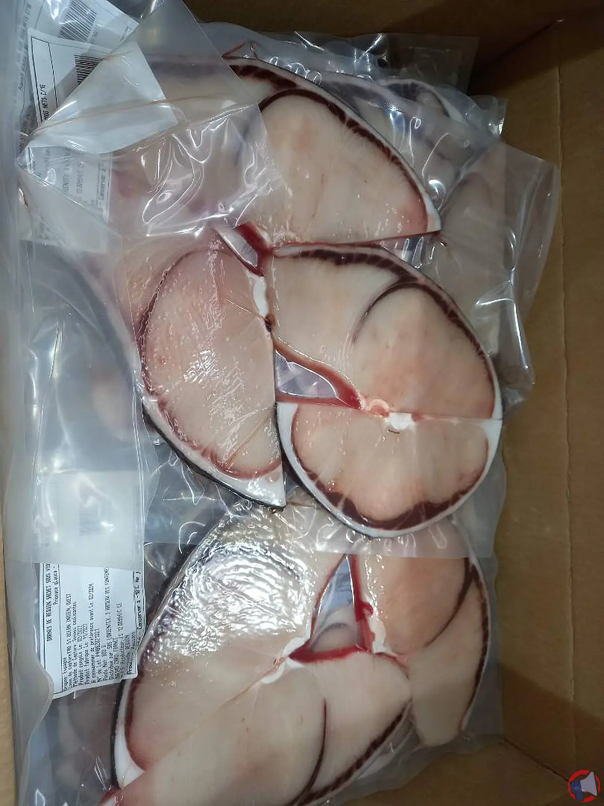 Rappel de produit : Darnes de Requin de la marque Lorientex pour cause de taux de mercure supérieur aux normes