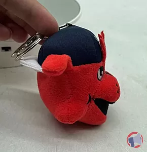 Rappel produit Doggy Dog JR mascotte LOSC