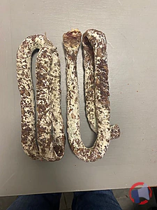 Rappel produit Saucisson et saucisse sèche de sanglier Maison Biard