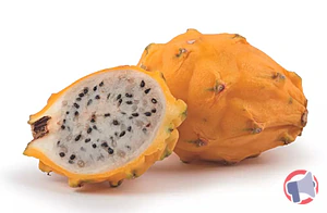 Rappel produit Pitaya Jaune Manquante