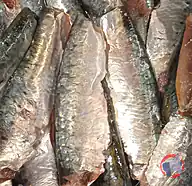 Rappel produit MARQUE FOURNISSEUR FILET DE SARDINE MACH P/ANE